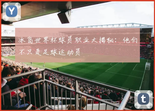 冰岛世界杯球员职业大揭秘：他们不只是足球运动员