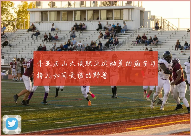乔亚历山大谈职业运动员的痛苦与挣扎如同受伤的野兽
